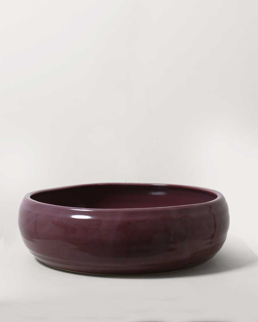 Salad Bowl / Plum